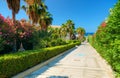 Beautiful Greek hotel road pathway to sea beach for tourists among red white rose colorful flowers and green palms. Greece islands