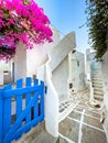 Beautiful Greek street with blue gates and white houses with flowers, cycladic islands, greece Royalty Free Stock Photo