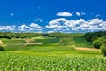 Beautiful green agricultural landscape in Croatia