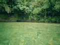 Beautiful green aquamarine river with crystal clear water in a Colombian tropical jungle