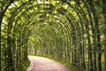 A Beautiful Green Arcade Royalty Free Stock Photo