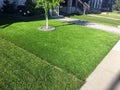 A beautiful green artificial lawn in the front yard with nice tree in the centre, and other grass lawns beside it for contrast