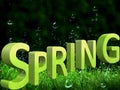 Beautiful green background with a big spring inscription in 3d format