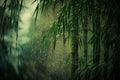 Beautiful green bamboo forest in the rain. Shallow DOF