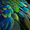 beautiful green and blue parrot feathers close-up background. Royalty Free Stock Photo