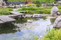 Beautiful green botanical landscape design in garden, city park with trees, bushes and benches, wooden gazebo Royalty Free Stock Photo