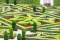 Beautiful green boxwood garden pruned into shapes.