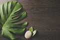 Beautiful green bright Monstera deliciosa leaf also known as Swiss cheese plant with water drops . Royalty Free Stock Photo