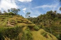 Beautiful Green cascade rice fields on Bali island, Jatiluwih near Ubud, Indonesia Royalty Free Stock Photo