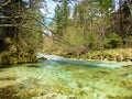 Beautiful green colored Kamniska Bistrica river in Slovenia Royalty Free Stock Photo