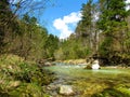 Beautiful green colored Kamniska Bistrica river in Slovenia Royalty Free Stock Photo