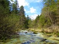 Beautiful green colored Kamniska Bistrica river in Slovenia Royalty Free Stock Photo