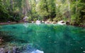 Beautiful green colored lake at the spring of Kamniska Bistrica river in Slovenia Royalty Free Stock Photo