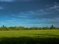 Beautiful green cornfield with land air atmosphere blue bright and orange yellow dramatic sunset sky