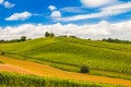 Countryside landscape, vineyard in Daruvar region, Croatia