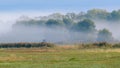 Beautiful green countryside on a misty day Royalty Free Stock Photo