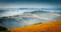 Beautiful green countryside in the morning light