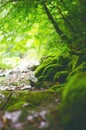 Beautiful green countryside. Waterfall on a river with big rocks and deciduous forest. Green landscape.