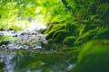 Beautiful green countryside. Waterfall on a river with big rocks and deciduous forest. Green landscape.