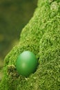 Beautiful green Easter egg