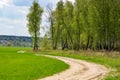 Beautiful green edge of a birch grove and a rural dirt road Royalty Free Stock Photo