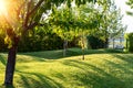 Beautiful green english fruit tree garden with mown grass lawn hills, knolls and hilloks at warm evening sunset day time. Royalty Free Stock Photo