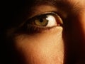 A beautiful green eye Royalty Free Stock Photo