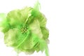 Beautiful green fake flower Royalty Free Stock Photo