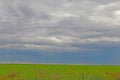 Beautiful green farm land on a cloudy day Royalty Free Stock Photo