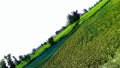 The beautiful green field area in Mianwali Royalty Free Stock Photo