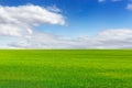 Beautiful green field and bright blue sky with light clouds Royalty Free Stock Photo