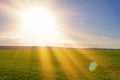 Beautiful green field with forest in the background and clear blue sky Royalty Free Stock Photo