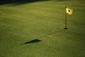 Beautiful green field golf grass and hole with flag Royalty Free Stock Photo