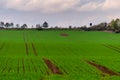 Beautiful green field with wooden watchtower on horizon