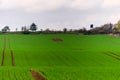 Beautiful green field with wooden watchtower on horizon