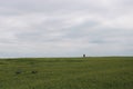 Beautiful green fields with clouds Royalty Free Stock Photo