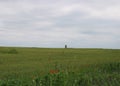 Beautiful green fields with clouds Royalty Free Stock Photo