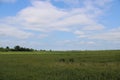 Beautiful green fields with clouds Royalty Free Stock Photo