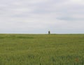 Beautiful green fields with clouds Royalty Free Stock Photo