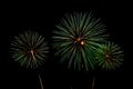 Beautiful green firework display Royalty Free Stock Photo