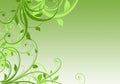 Beautiful green floral design - springtime illustration