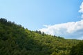 Beautiful green forest against the blue sky with clouds. Forest conservation area. Natural Park. Royalty Free Stock Photo