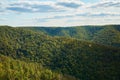 Beautiful green forest against the blue sky with clouds. Natural Park Royalty Free Stock Photo