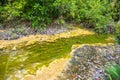 Beautiful green forest lake. Krabi, Thailand Royalty Free Stock Photo