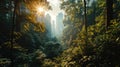 Beautiful green forest in the morning,hong kong