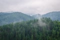 Beautiful green  forest mountains with fog Royalty Free Stock Photo