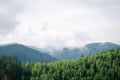 Beautiful green  forest mountains with fog Royalty Free Stock Photo