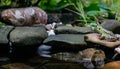 Beautiful green frog Rana ridibunda in sunlight sits on a stone in right. Multi-colored stones are reflected in pond. Blurred gree Royalty Free Stock Photo