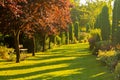 Beautiful green garden. Royalty Free Stock Photo