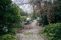 beautiful green garden with cobbled path in cloudy day Royalty Free Stock Photo